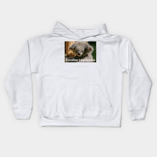 Stoned Koala Kids Hoodie